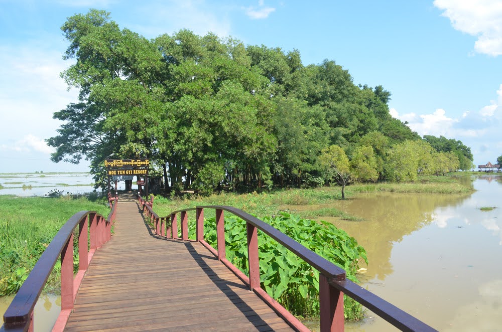 Excursion Trip To Wild Wetlands Of Moeyungyi